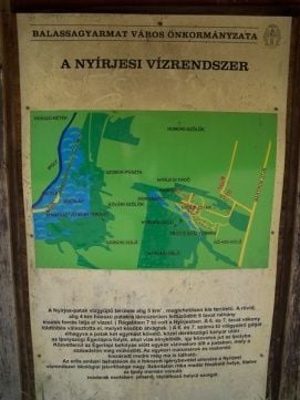 Ipolyszögi égerláp – 3. kép